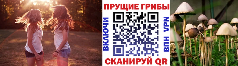Галлюциногенные грибы прущие грибы Верещагино