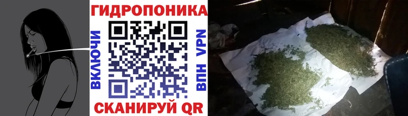 Конопля конопля  Верещагино 